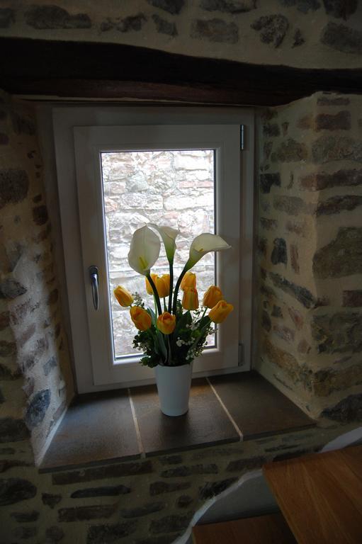 Emily House Hotel Montecerboli Esterno foto